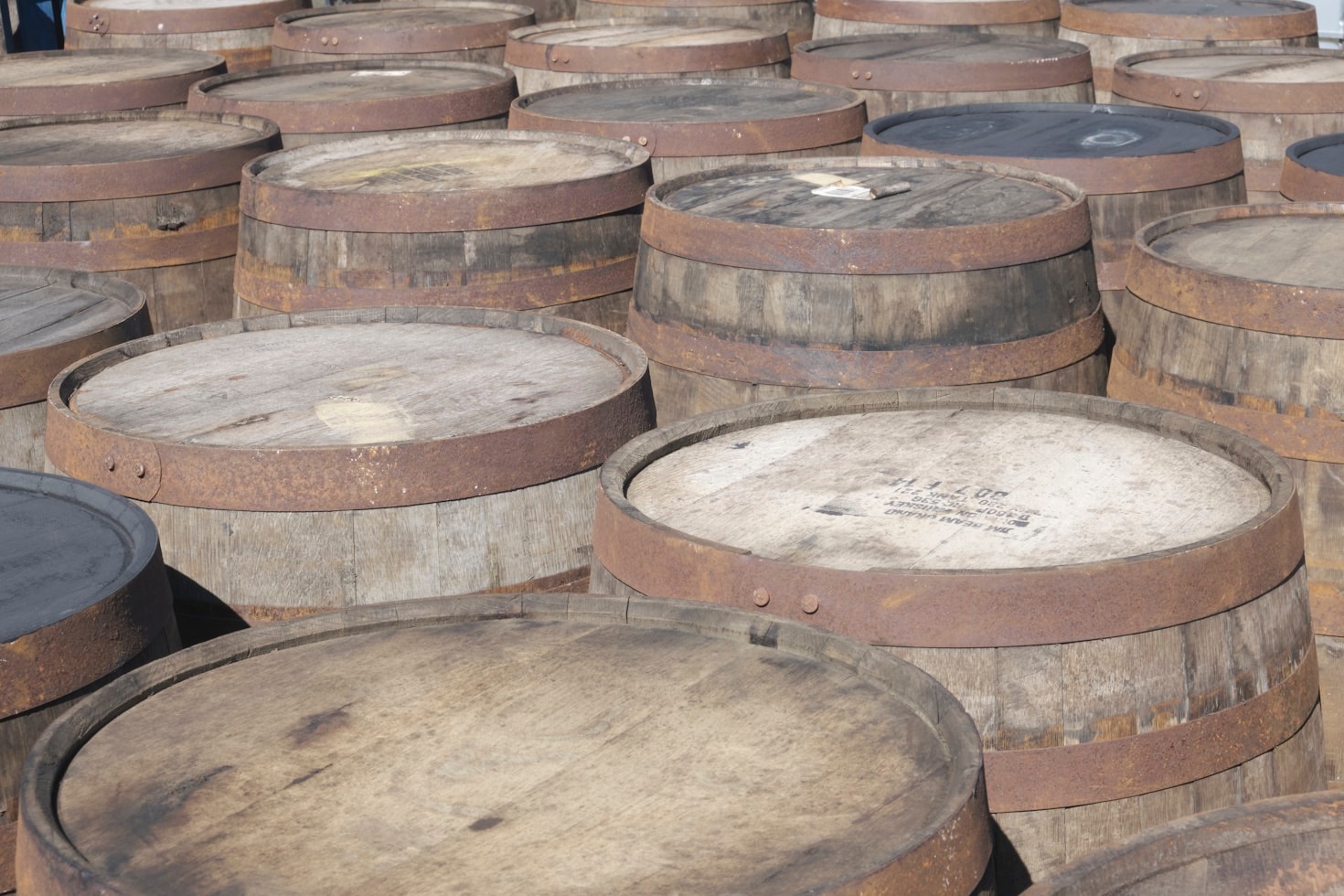 Connecting Rakija Producers and Passionate Enthusiasts