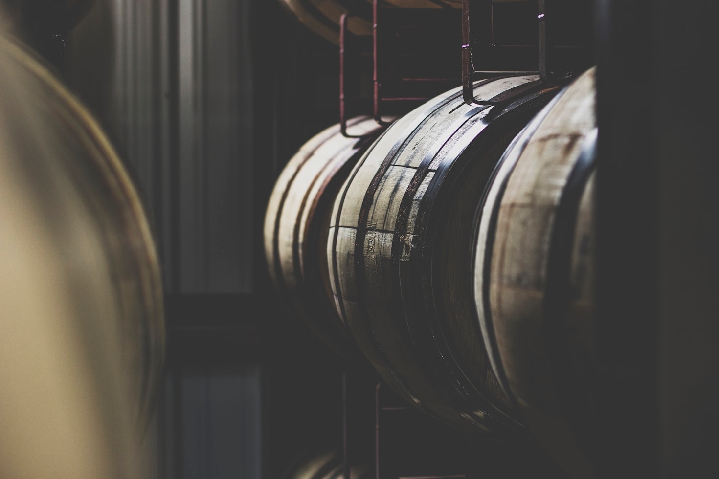 Mastering the Art of Rakija Pairing